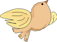 An2004.gif