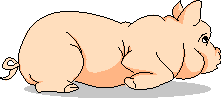 An2104.gif