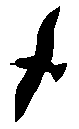 Bird071.gif