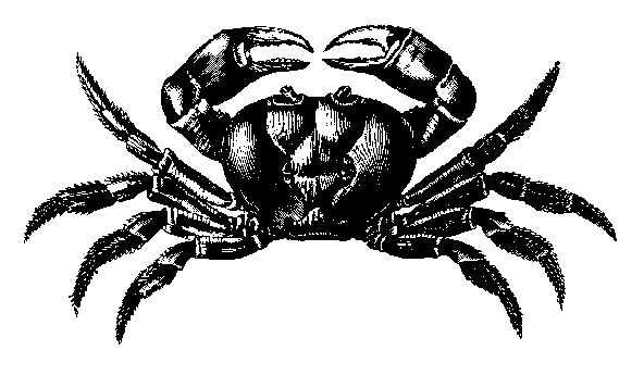T127.gif
