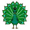 Bird031.gif