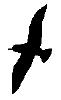 Bird071.gif