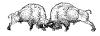 Etcs917.gif