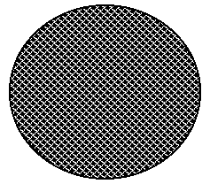 Sw151.gif